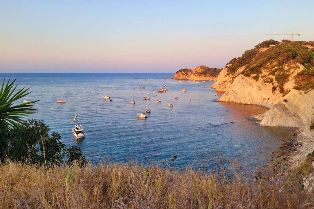 Javea Beach Blue House المظهر الخارجي الصورة